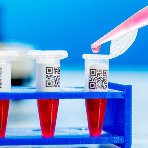 CTAB DNA İzolasyonu Eğitimi (Çevrimiçi Canlı veya Kayıttan Hemen İzle) resmi