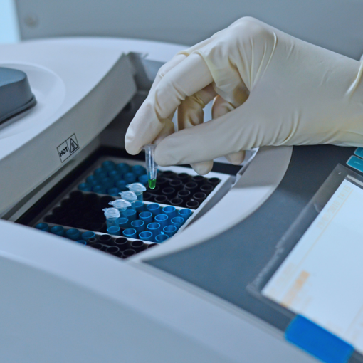 Yüz Yüze, Uygulamalı PCR ve qPCR Eğitimi resmi