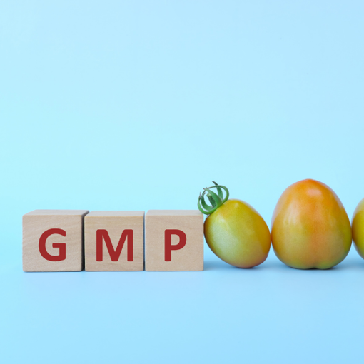 Çevrimiçi ve Canlı İyi Üretim Uygulamaları GMP ’de Dokümantasyon Eğitimi resmi