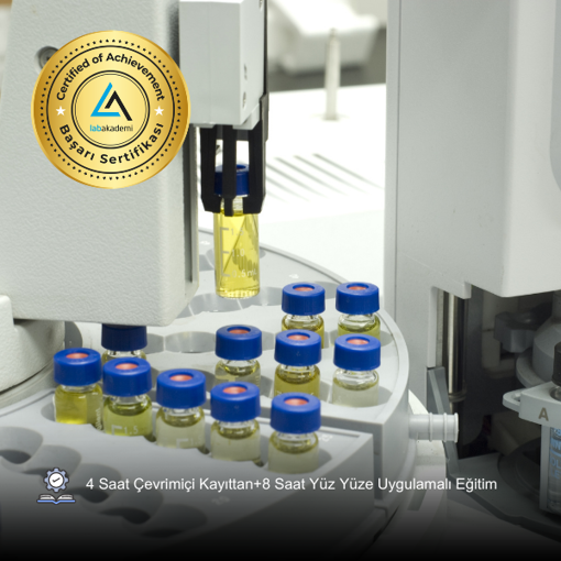 Uygulamalı Gaz Kromatografisi (GC) Uzmanlık Eğitimi (Yüz Yüze ve Bireysel Uygulamalı) resmi