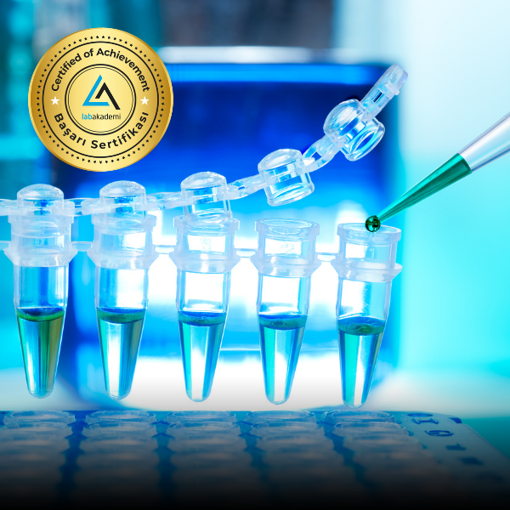 Kendi Biyoteknoloji Eğitim Paketini Oluştur-Dilediğin 3 Eğitimi Seç, 4. Eğitim Bizden Hediye! Kayıttan Hemen İzle! resmi