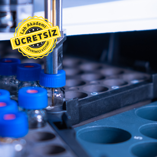 Analitik Cihaz (HPLC, GC-FID, LC-MSMS, GC-MSMS, AAS, UV-VIS) Demo Eğitimi resmi