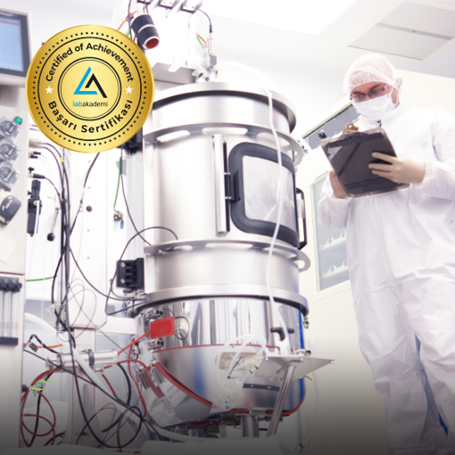 Temel ve Endüstriyel Mikrobiyoloji Eğitimi (Yüz Yüze Uygulamalı veya Hibrit Katılım) resmi