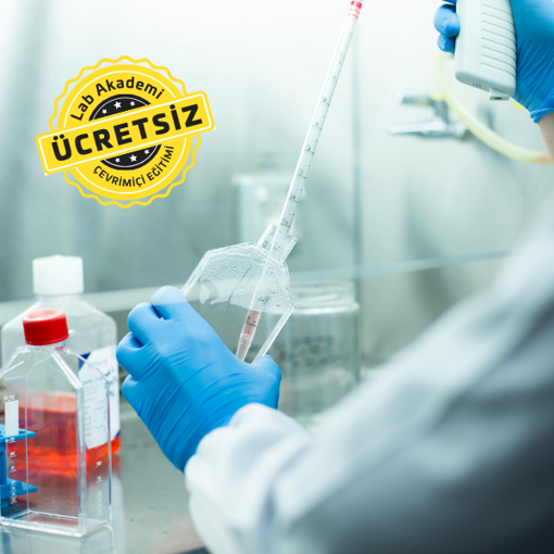 Temel ve Endüstriyel Mikrobiyoloji Canlı Yayını resmi