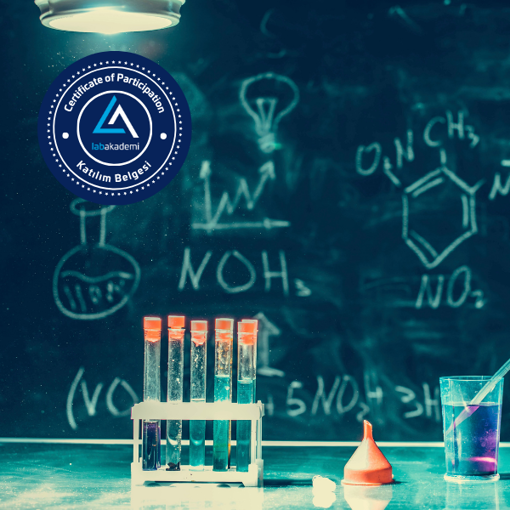 Lab Akademi 2026 Katılım Belgesi Aboneliği resmi