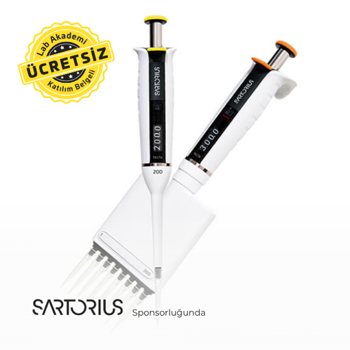 Pipetleme Şekliniz Sağlığınızı Tehdit Ediyor mu?: İdeal Pipetleme Teknikleri ve Ergonomi resmi