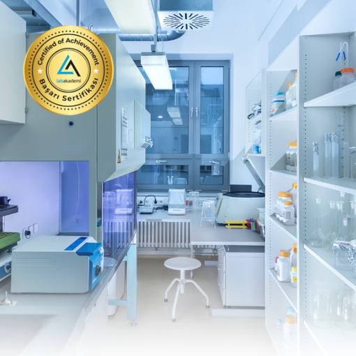 Laboratuvarda 5S Yaklaşımı ve Uygulamaları Eğitimi (Kayıttan Hemen İzle) resmi