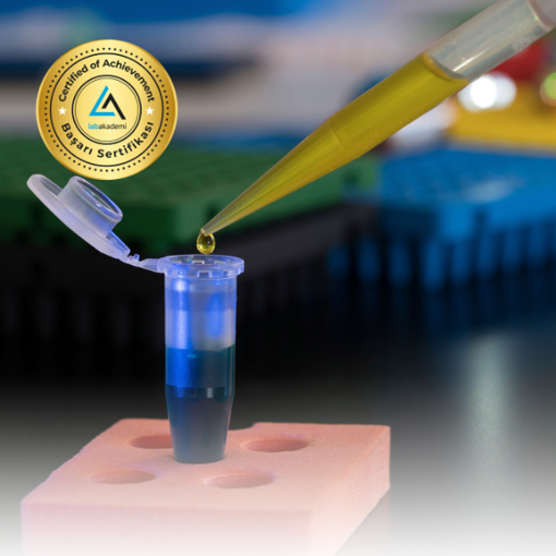 İyi Pipetleme Teknikleri Eğitimi (Kayıttan Hemen İzle) resmi