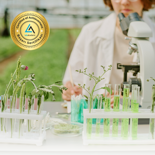 Laboratuvarda Sürdürülebilirlik ve Karbon Ayak İzi ve Azaltma Yolları (Kayıttan Hemen İzle) resmi