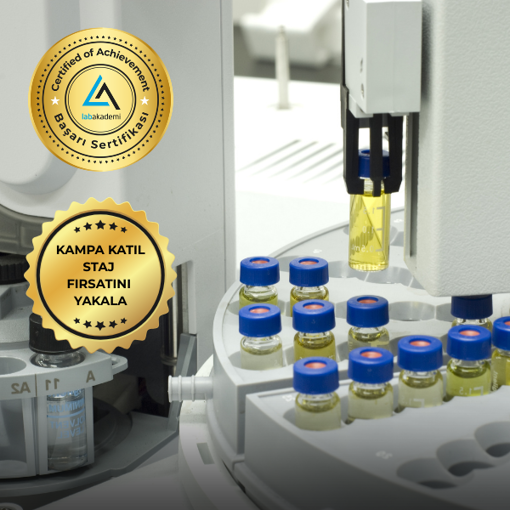 Gaz Kromatografisi Kütle Spektrometresi GC-MS/MS Uzmanlık Eğitimi (12 Saat Eğitim, Yüz Yüze Uygulamalı veya Hibrit Katılım) resmi