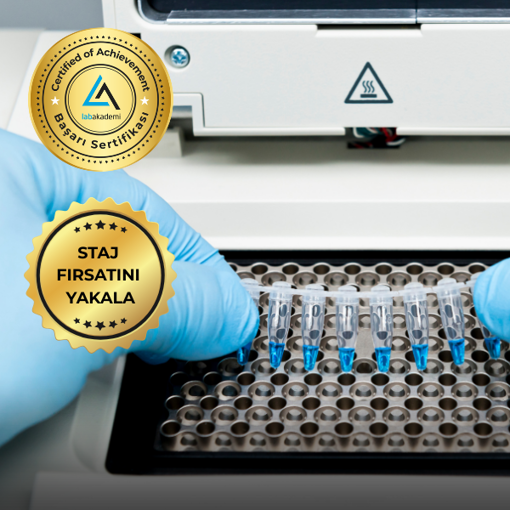 Nükleik Asit İzolasyonu ve PCR/Real Time-PCR Uygulamaları Eğitimi (Çekilişle Staj Hediye*) resmi