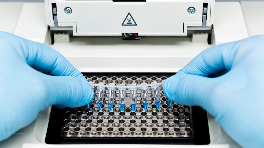 Moleküler Bilimin Temelleri: Nükleik Asit İzolasyonu ve PCR Teknolojilerinde Akademik Yaklaşımlar