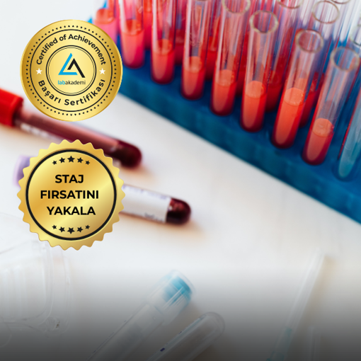 Elisa Tekniğinde Temel Seviyeden Uzmanlığa Uygulamalı Eğitim: Teori, Teknikler ve Uygulamalar (Çekilişle Staj Hediye*) resmi