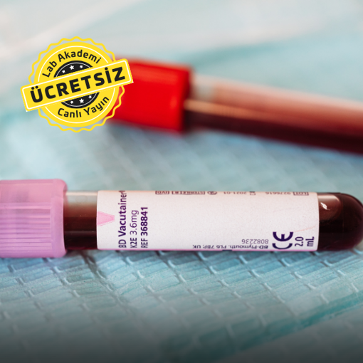 TS EN ISO 15189:2023 Tıbbi Laboratuvarlar için Kalite Yönetim Sistemi Standardı Temel Bilgilendirme Eğitimi resmi