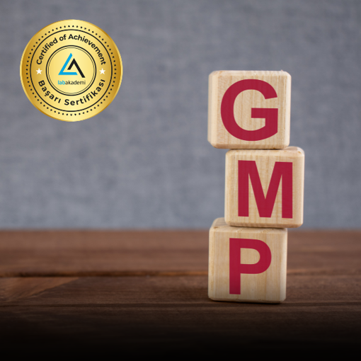 İyi Üretim Uygulamaları GMP Eğitimi (Yüz Yüze Bireysel Uygulamalı veya Hibrit) resmi