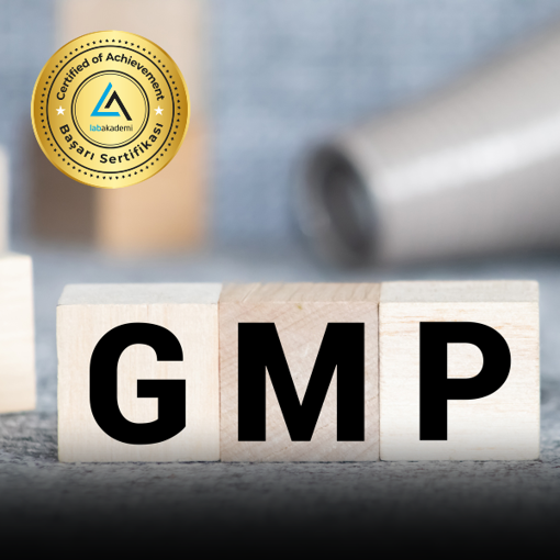 Picture of İyi Üretim Uygulamaları GMP Temel Eğitim Kampı (3 Uzmanlık Eğitimi ile 3 Başarı Sertifikalı Çevrimiçi Canlı veya Kayıttan Hemen İzle)