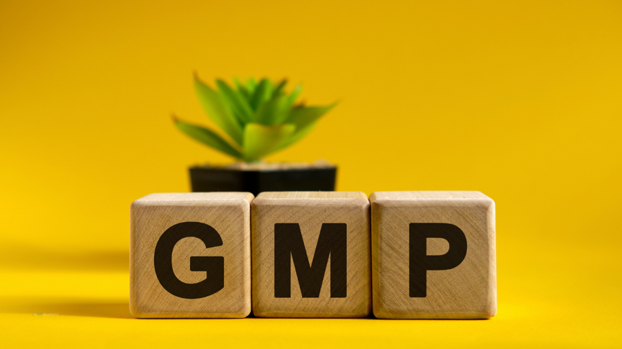 Kalitenin 3 Boyutu: Bilmek, Belgelemek ve Denetlemek (GMP Uzmanlık Kampı)