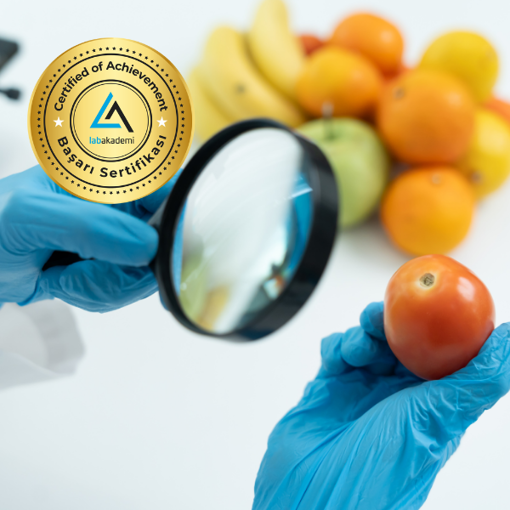 Gıda Güvenliği Yönetim Sistemi Temelleri (GMP, GHP ve HACCP) Uzmanlık Kampı (Yüz Yüze Bireysel Uygulamalı veya Hibrit) resmi