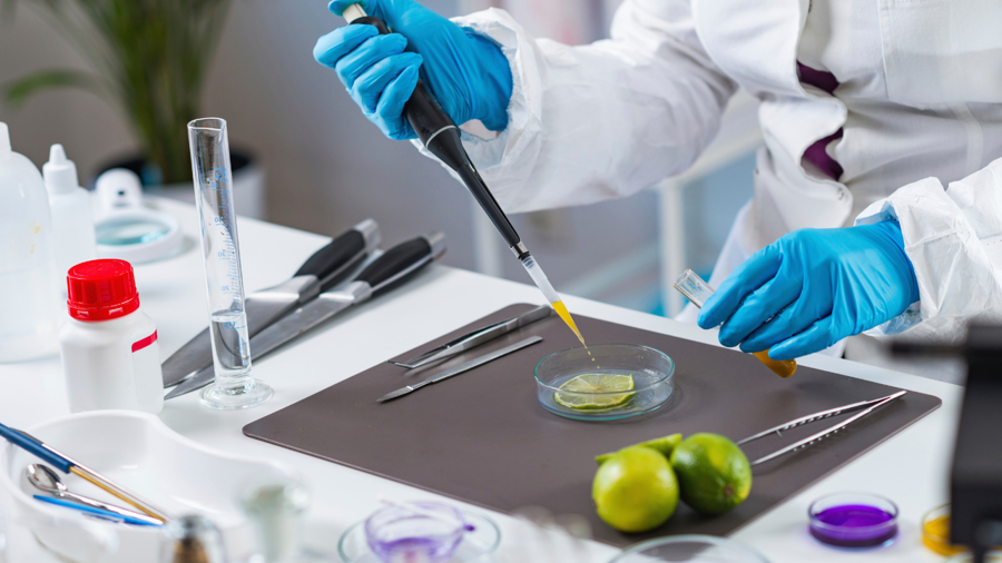 Gıda Sektöründe "Aranan Mühendis" Olmanın Formülü: GMP + HACCP Yetkinliği