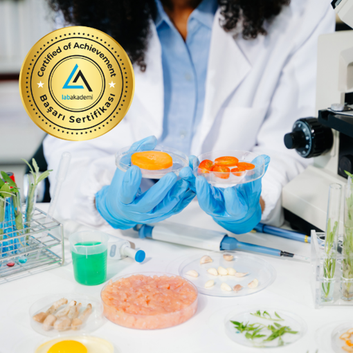 Gıda Mikrobiyolojisi Uzmanlık Eğitimi (Yüz Yüze Bireysel Uygulamalı veya Hibrit Katılım) resmi