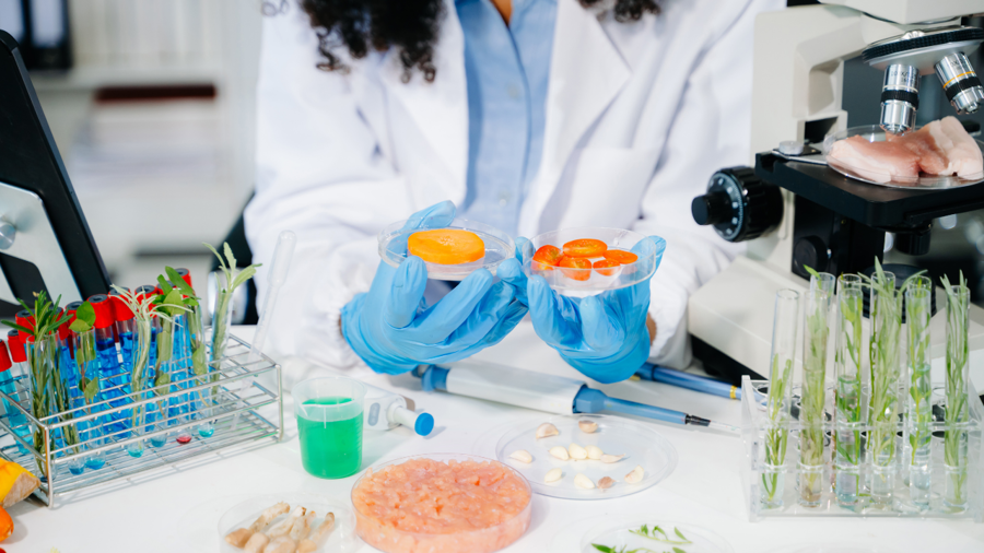 Gıda Güvenliğinin Görünmez Düşmanları: Mikrobiyolojik Analiz Neden "El Becerisi" İster?