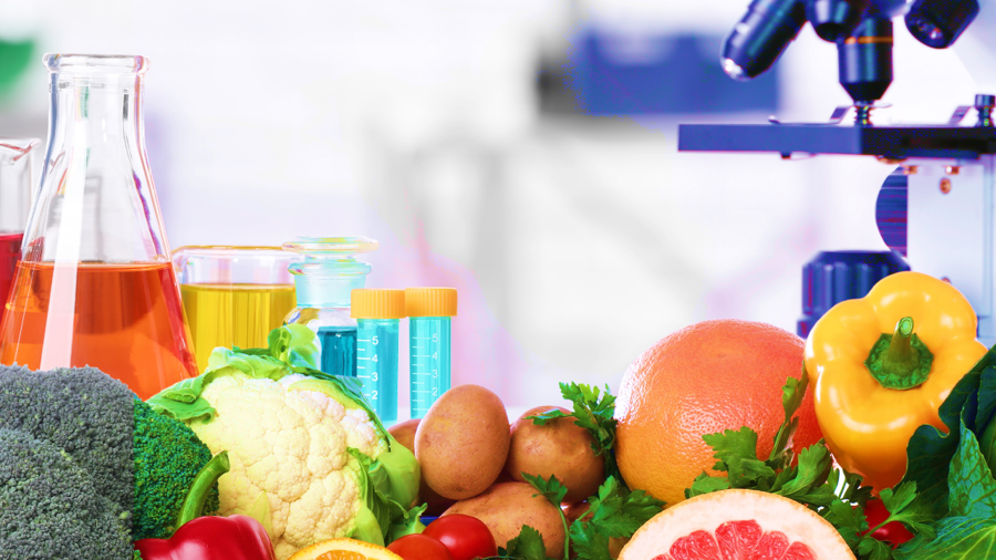 Gıda Laboratuvarlarının Aradığı Yetkinlik: "Mikrobiyolojik Ekim Yapabilir Misin?"