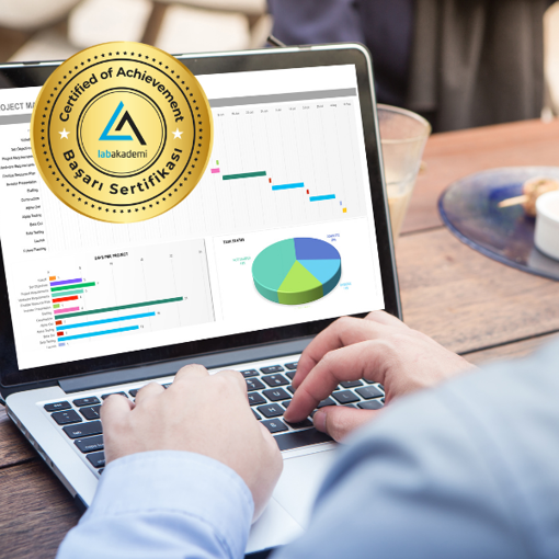 Excel ile Laboratuvar Odaklı İstatistiksel Analiz Atölye Çalışması (Yüz Yüze Uygulamalı veya Hibrit) resmi