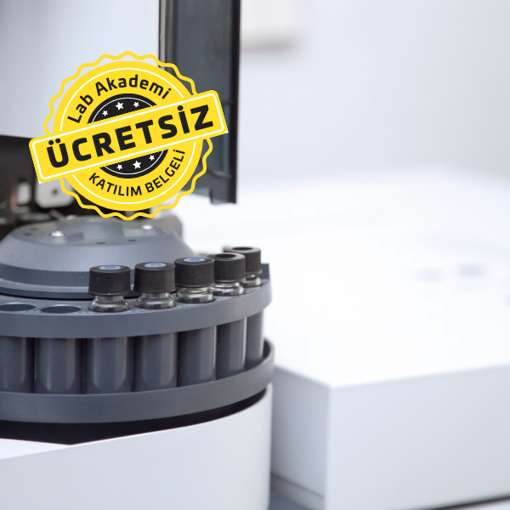 Kromatografi 101: Gaz Kromatografisi GC Temelleri ve Uygulamaları (Ücretsiz ve Katılım Belgeli) resmi