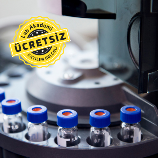 Kromatografi 101: Gaz Kromatografisi Kütle Spektrometresi GC-MS/MS Temelleri ve Uygulamaları (Ücretsiz ve Katılım Belgeli) resmi