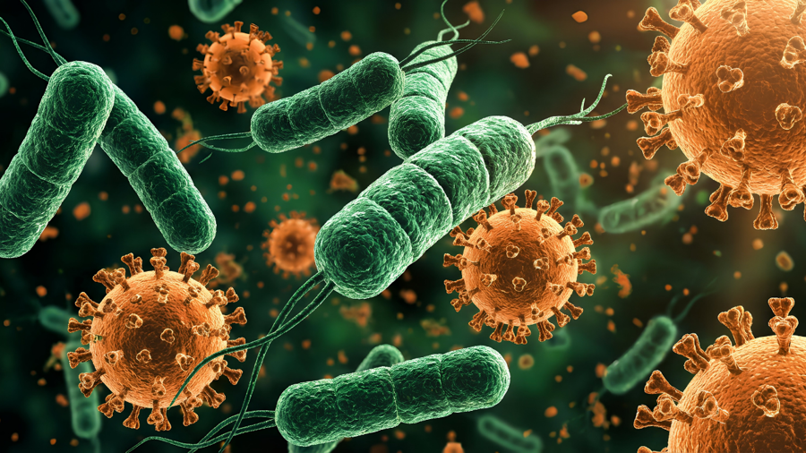 SARS-CoV-2 Filogenetiğinde Yeni Bir Safha: EG.5 (Eris) Varyantının Moleküler Karakterizasyonu ve Patolojik Analizi