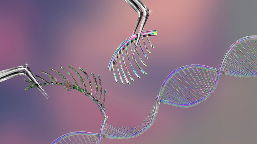 Yeni Nesil Genom Düzenleme: Base Editing ve Prime Editing Metodolojilerinin Karşılaştırmalı Analizi
