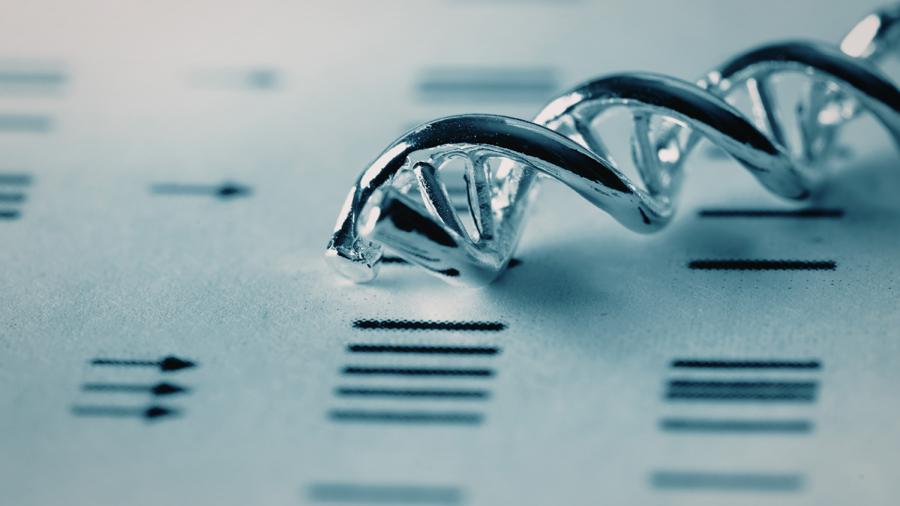 Genomun Ötesindeki Yazılım: Epigenetik Mekanizmalar ve Fenotipik Plastisite