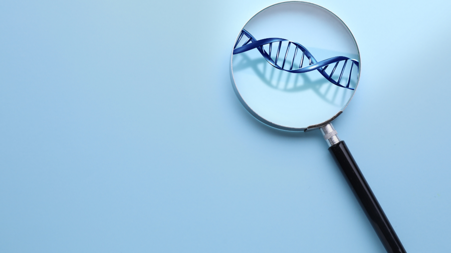 Yaşlanmanın Moleküler Metronomu: Epigenetik Saat ve Nutriepigenetik Senkronizasyonu