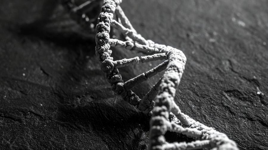 Rejuvenasyon Protokolleri: Epigenetik Saati Geri Döndürmede Farmasötik ve Hücresel Müdahaleler