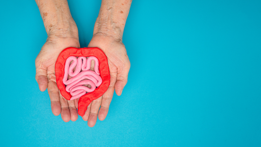 İnsan-Makine Simbiyozunda Mikrobiyom-Bağırsak-Beyin Ekseni: Post-Biyolojik Sağlık Yönetimi