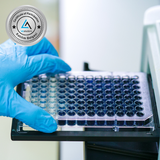 Picture of Lab 101: ELISA Uzmanlığı: Prensipler, Teknikler ve Uygulamalar (Katılım Belgeli, Kayıttan Hemen İzle)