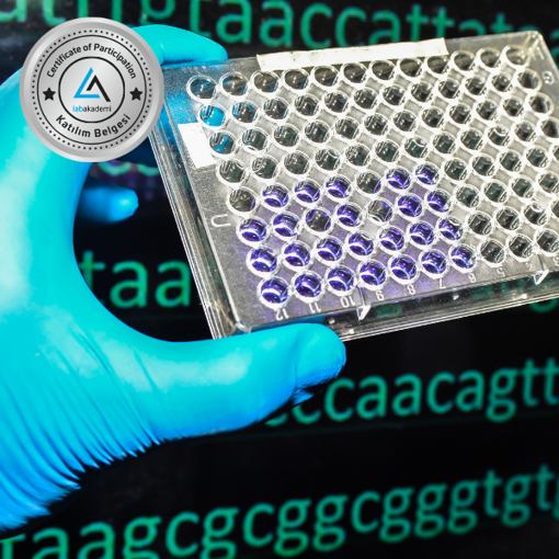 Picture of Biyoinformatik 102: Biyoinformatiğin Temeli ve Kariyer Olanakları