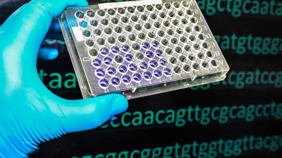 Yaşamın Kaynak Kodunu Çözmek: Biyoinformatiğin Temelleri, Büyük Veri (Big Data) ve Genomik Devrim Üzerine Derinlemesine Bir Bakış