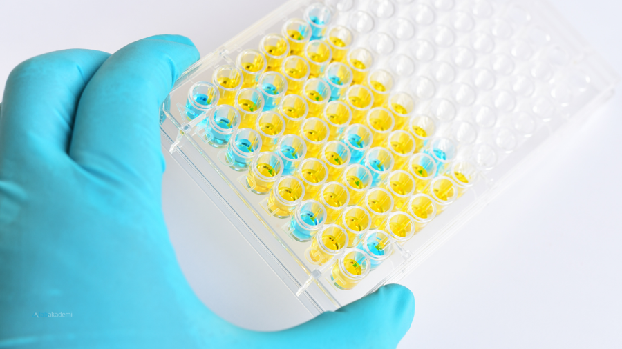 İmmünolojik Analizin Ötesi: ELISA Tekniği, Sektörel Uygulama Matrisleri ve Optimizasyon Stratejileri