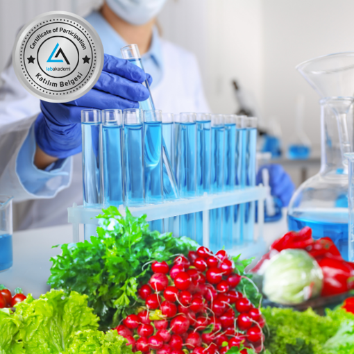 Lab 101: Gıda Mikrobiyolojisi Temelleri ve Kariyer Stratejileri (Katılım Belgeli, Kayıttan Hemen İzle) resmi