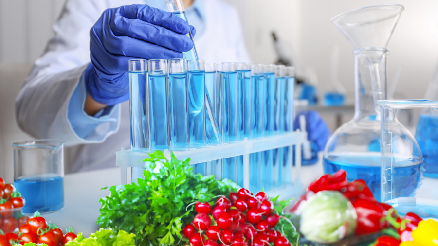 Tarladan Çatala Biyolojik Güvenlik: Gıda Mikrobiyolojisinde 4 Kritik Adım ve Analitik Karar Süreçleri