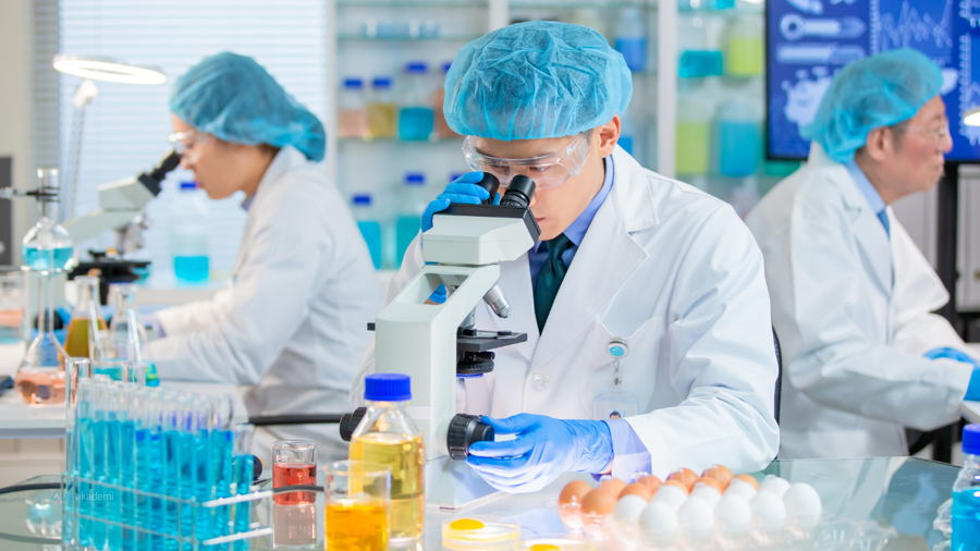 Gıda Güvenliğinin "Aranan Yüzü" Olmak: Mikrobiyoloji Yetkinliği Kariyerinizi Nasıl Şekillendirir?