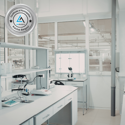 Lab 101: Laboratuvarda 5S Tekniği ve Uygulama Prensipleri (Katılım Belgeli, Kayıttan Hemen İzle) resmi