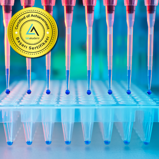 Picture of Nükleik Asit İzolasyonu ve PCR/Real Time-PCR Uygulamaları Uzmanlık Eğitimi (Yüz Yüze Bireysel Uygulamalı veya Hibrit Katılım)