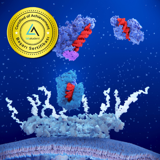 Picture of Uygulamalı Moleküler Docking ve Protein–Ligand Etkileşim Analizi Eğitimi (Çevrimiçi Canlı ve İnteraktif )