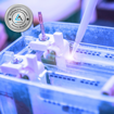 Lab 101: Western Blot, BCA ve Bradford Protein Analizleri (Kayıttan Hemen İzle, Katılım Belgeli) resmi
